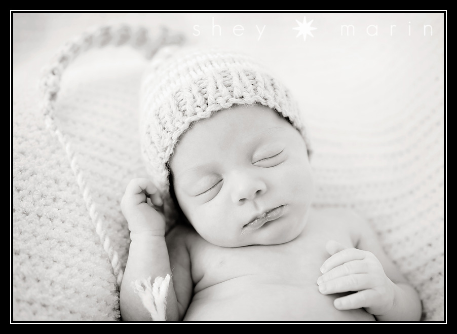 Maryland Newborn Photography