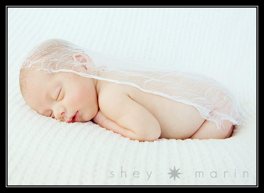 Maryland Baby Photography