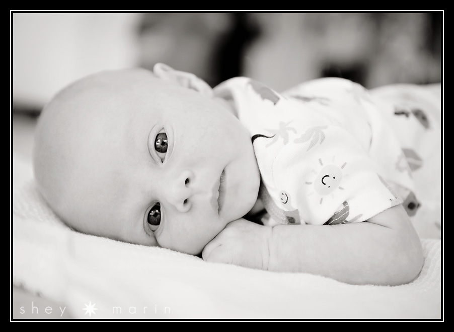 Maryland Newborn Photographer