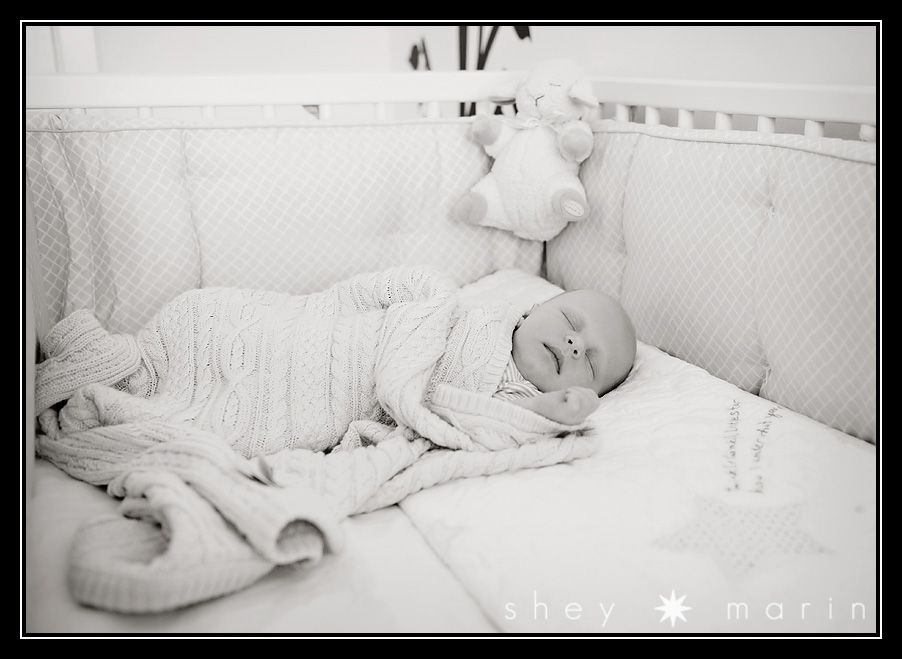 maryland Newborn photographer