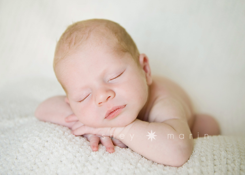 Washington DC Newborn Photography