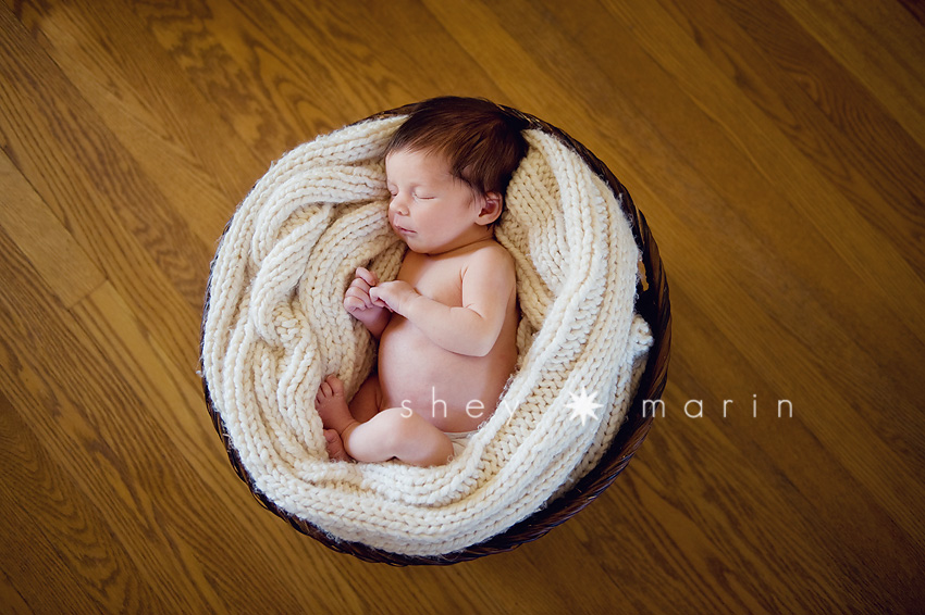 Washington DC Newborn Photographer