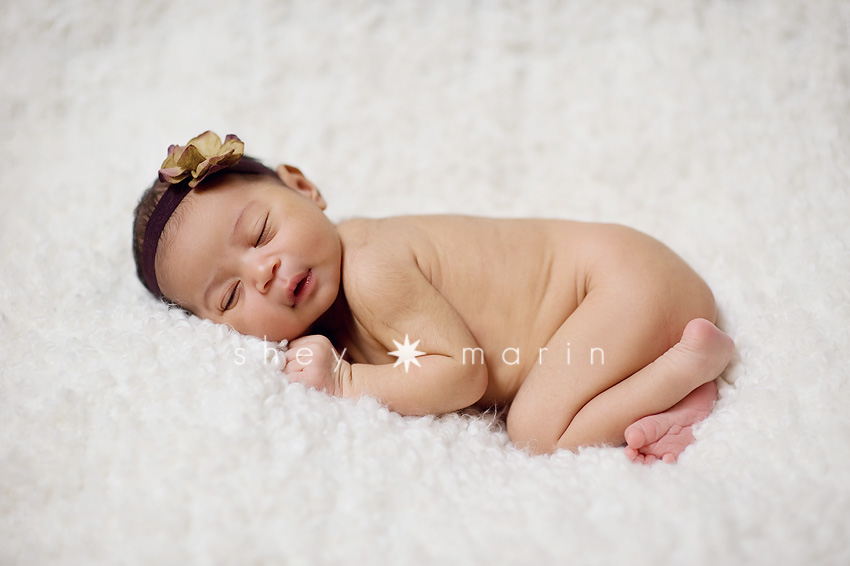 Washington DC Newborn photographer