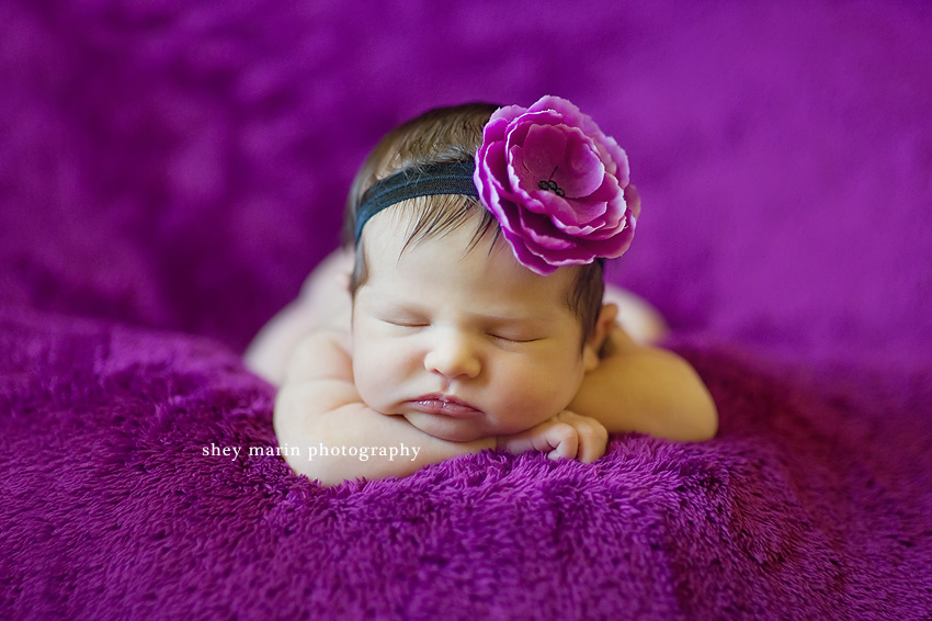 Bethesda Maryland Newborn Photographer