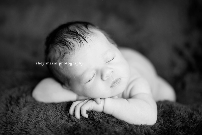 Frederick, Maryland Newborn Photographer