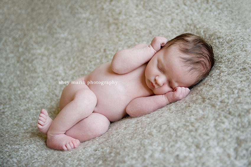 Frederick maryland newborn photography